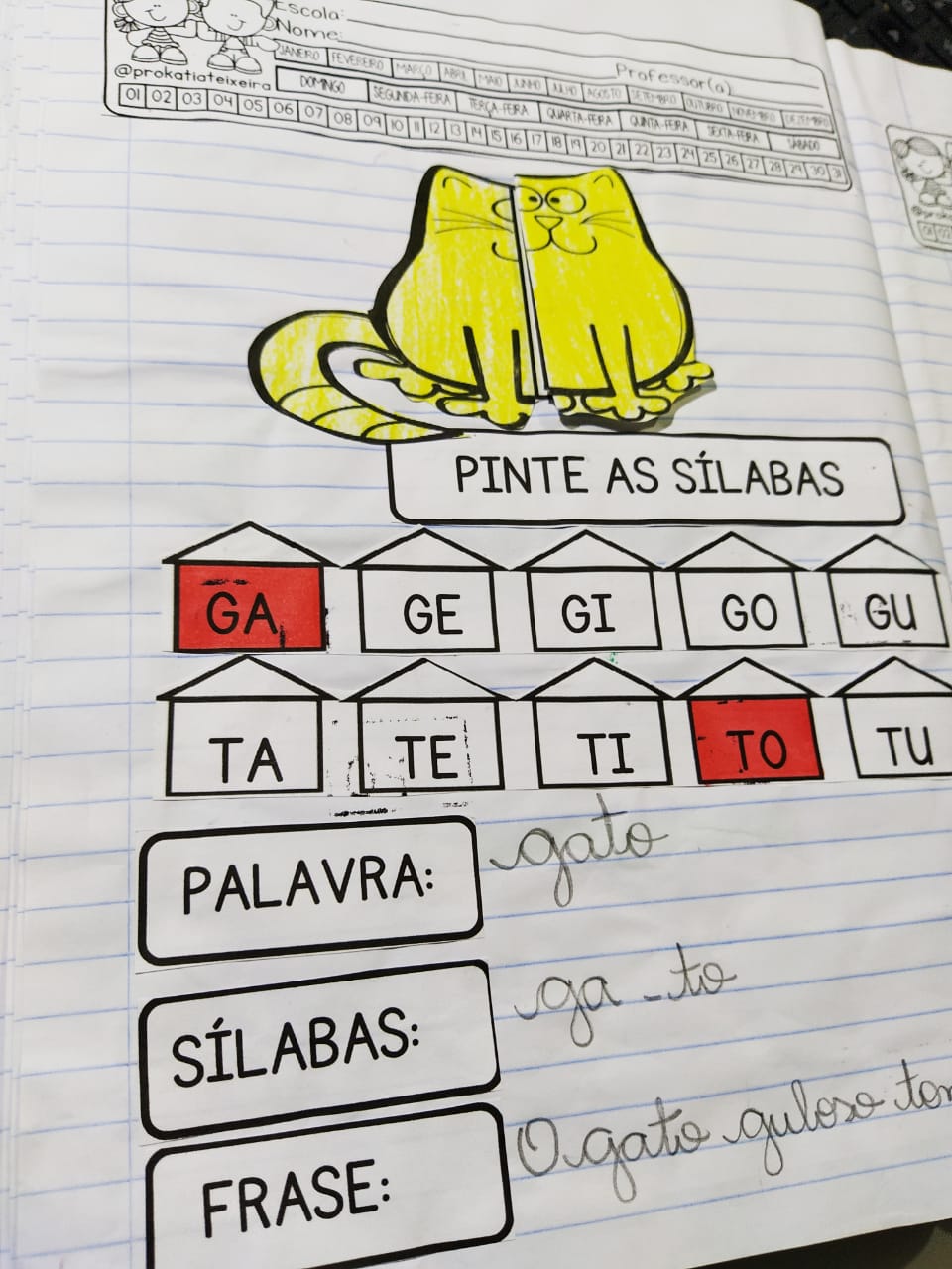 Alfabetização palavra gato: sílabas, palavra e frase