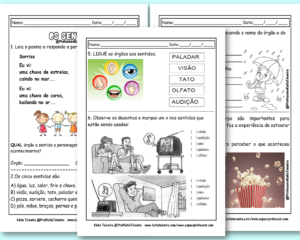 Atividades de Ciências 3º ano - Os cinco sentidos 3º ano em PDF