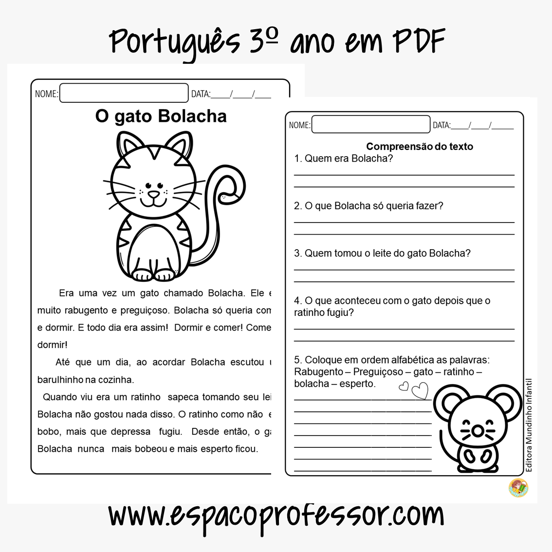 Atividade de português 3º ano O gato Bolacha em PDF