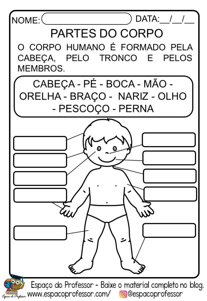 Atividade de Ciências 1º ano partes do corpo